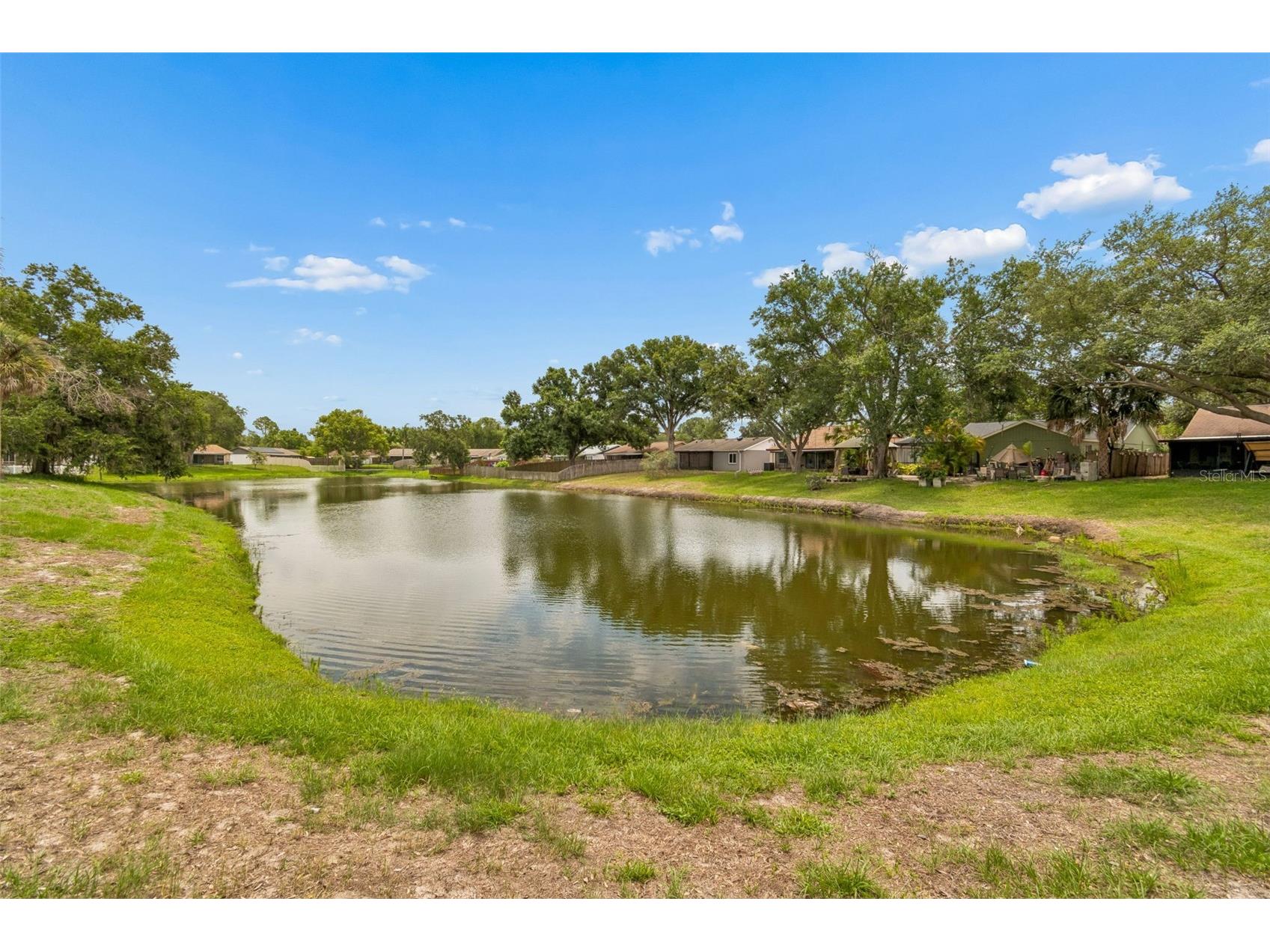 11318 Blackbark Drive Riverview FL 33579 TB8516407 image22