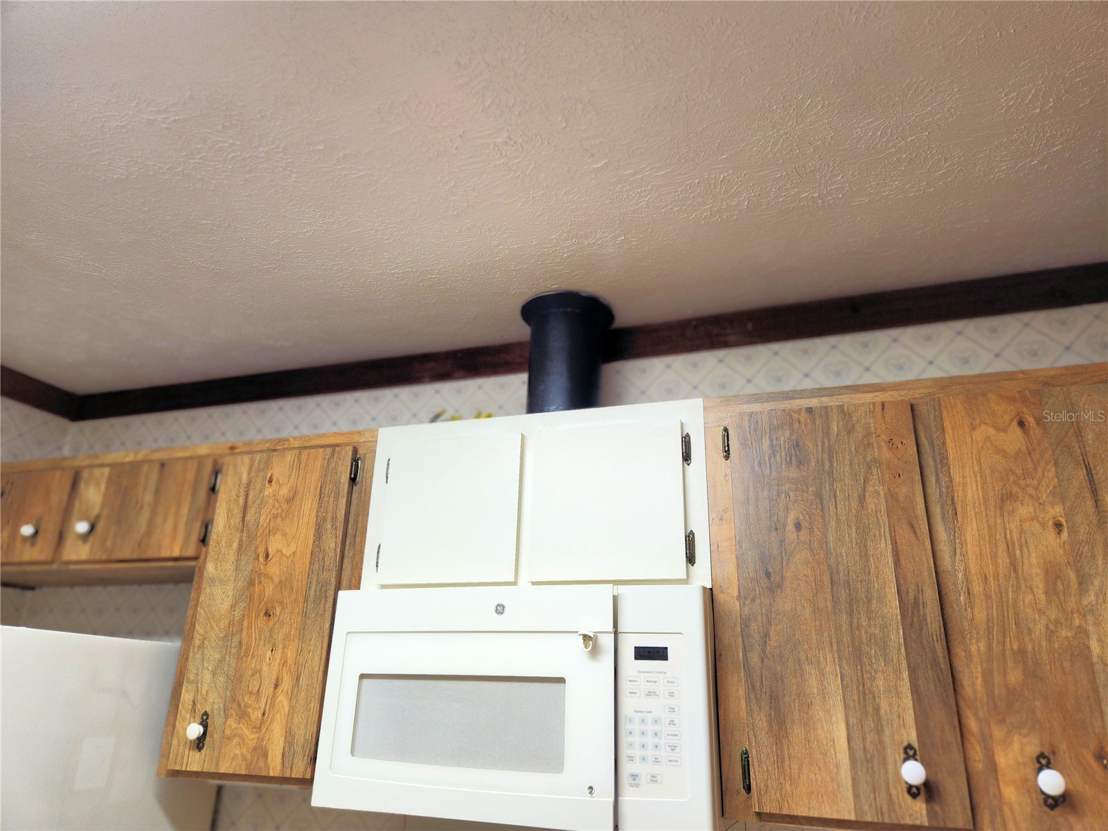 11318 Brightwood Drive Seffner FL 33584 TB8521330 image11