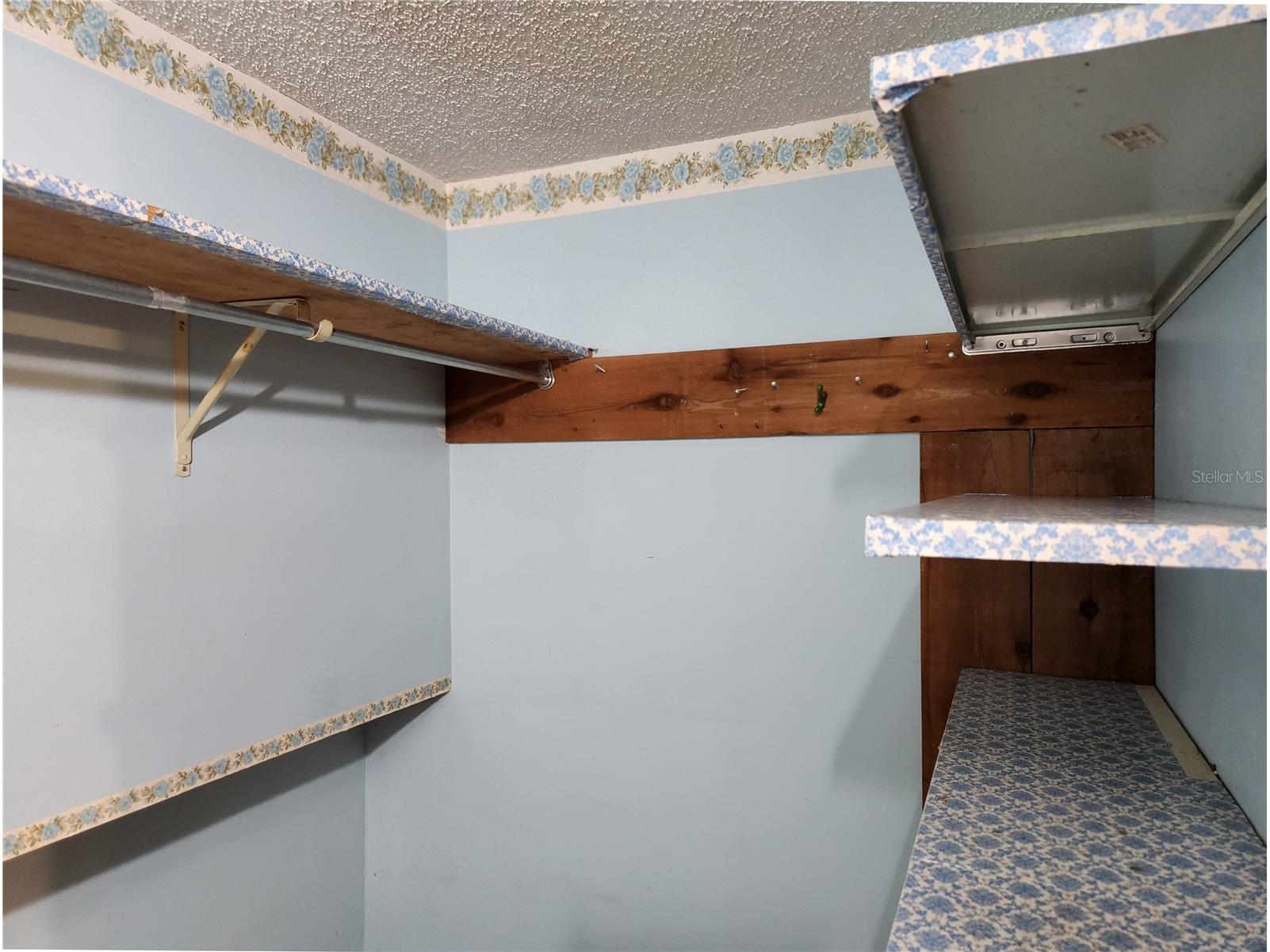 11318 Brightwood Drive Seffner FL 33584 TB8521330 image18