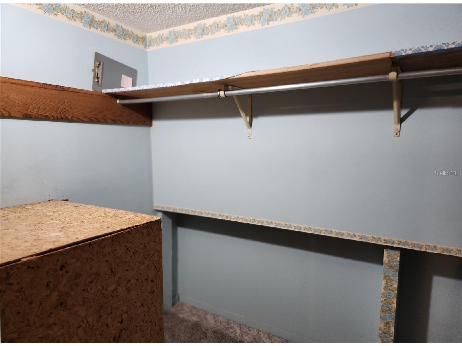 11318 Brightwood Drive Seffner FL 33584 TB8521330 image19