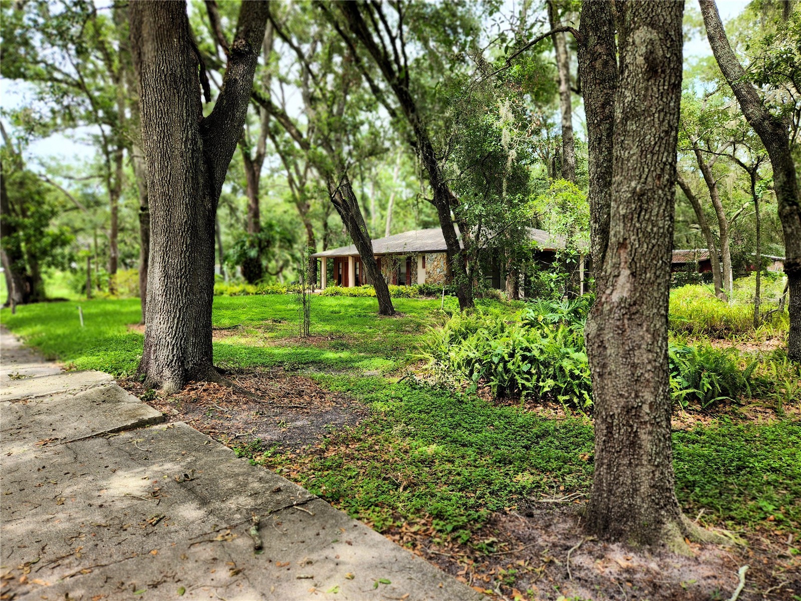 11318 Brightwood Drive Seffner FL 33584 TB8521330 image2