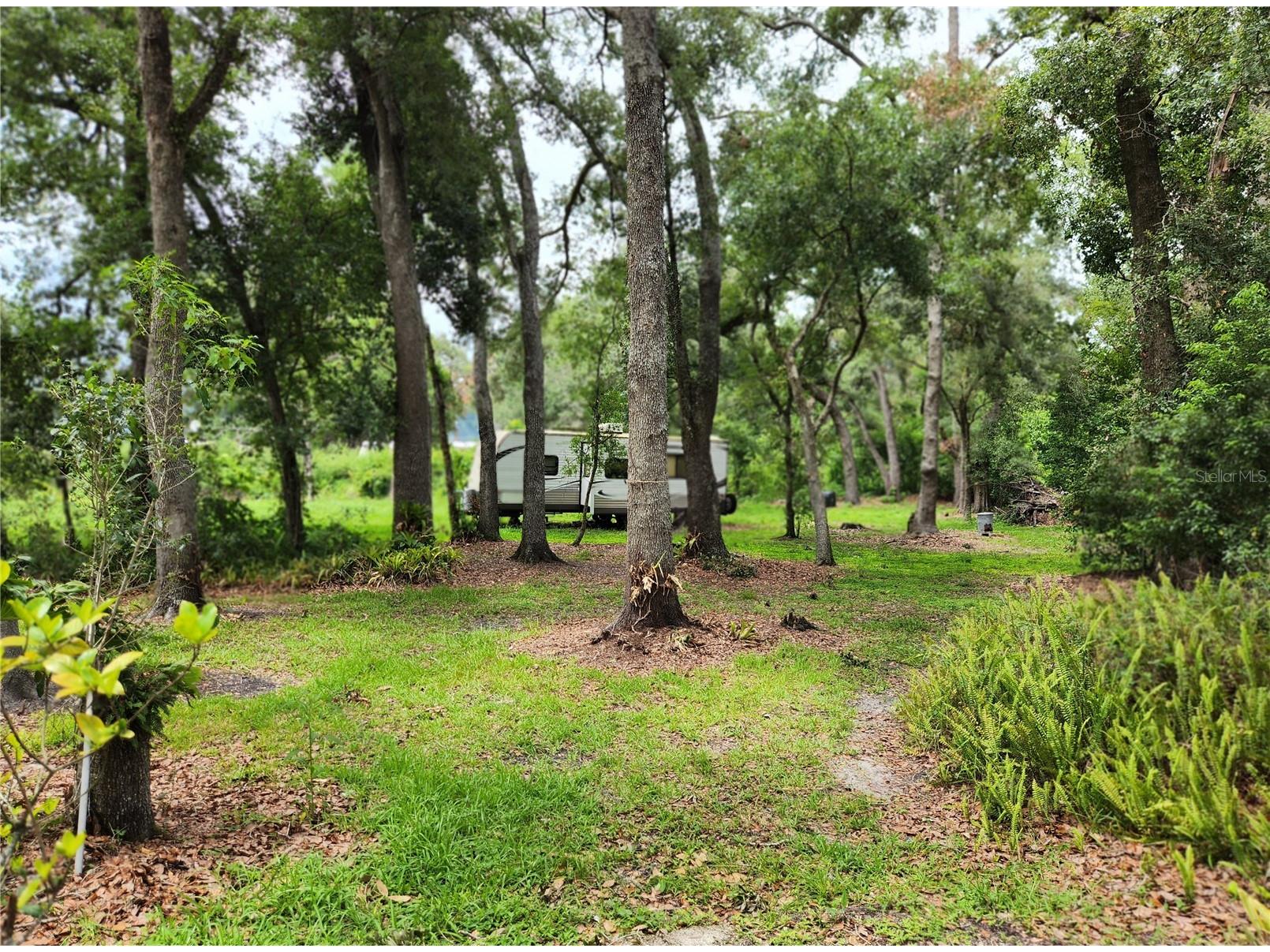 11318 Brightwood Drive Seffner FL 33584 TB8521330 image33
