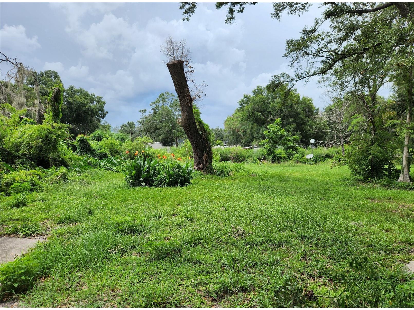 11318 Brightwood Drive Seffner FL 33584 TB8521330 image35