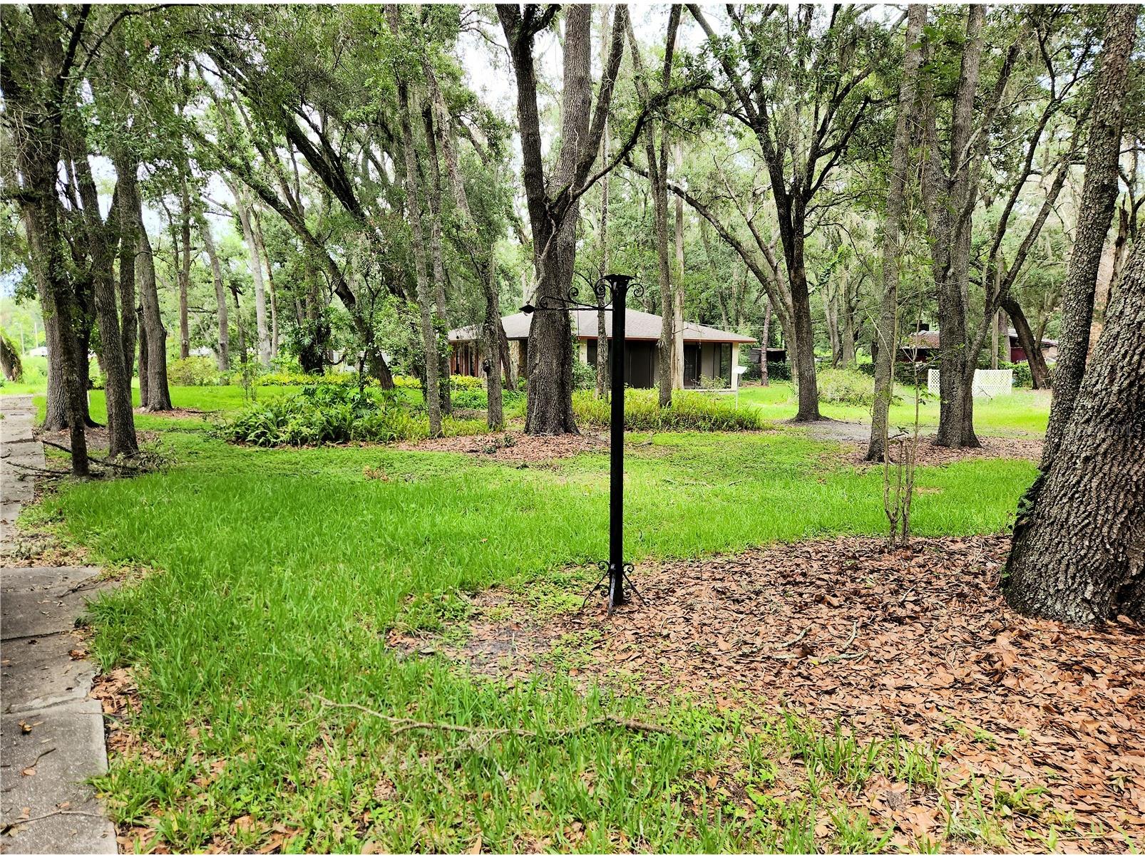 11318 Brightwood Drive Seffner FL 33584 TB8521330 image37
