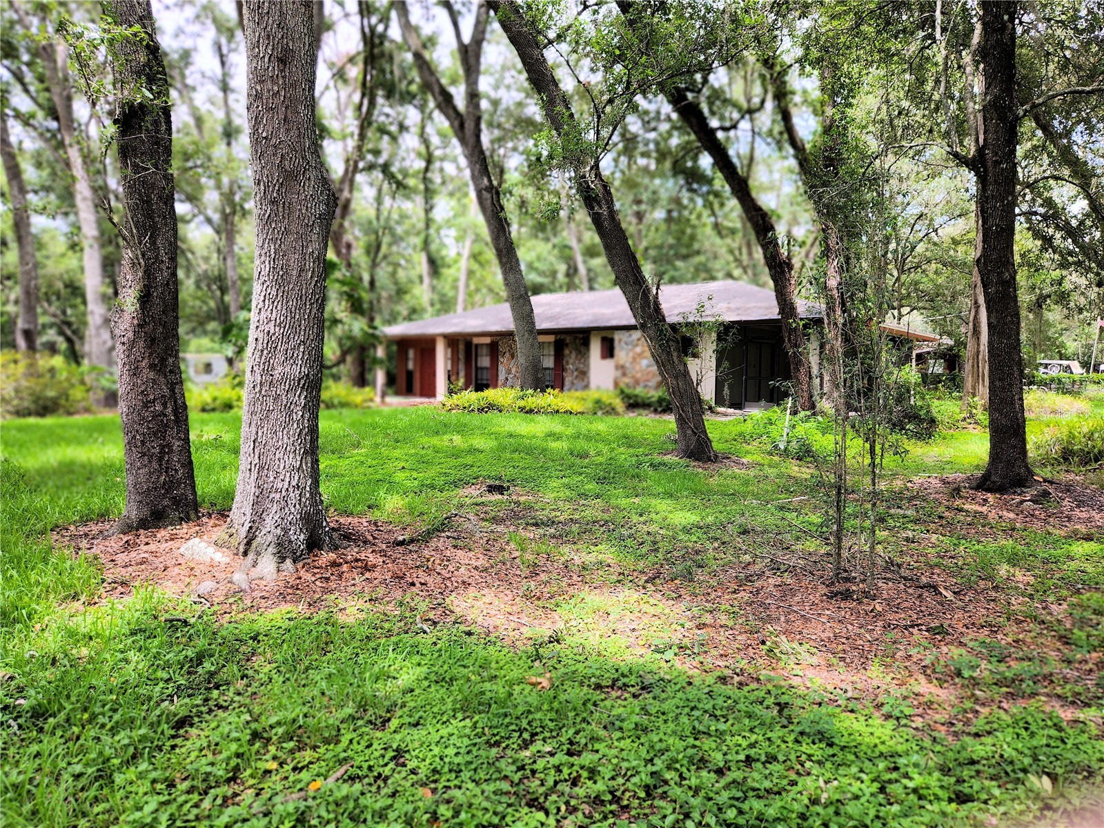 11318 Brightwood Drive Seffner FL 33584 TB8521330 image38