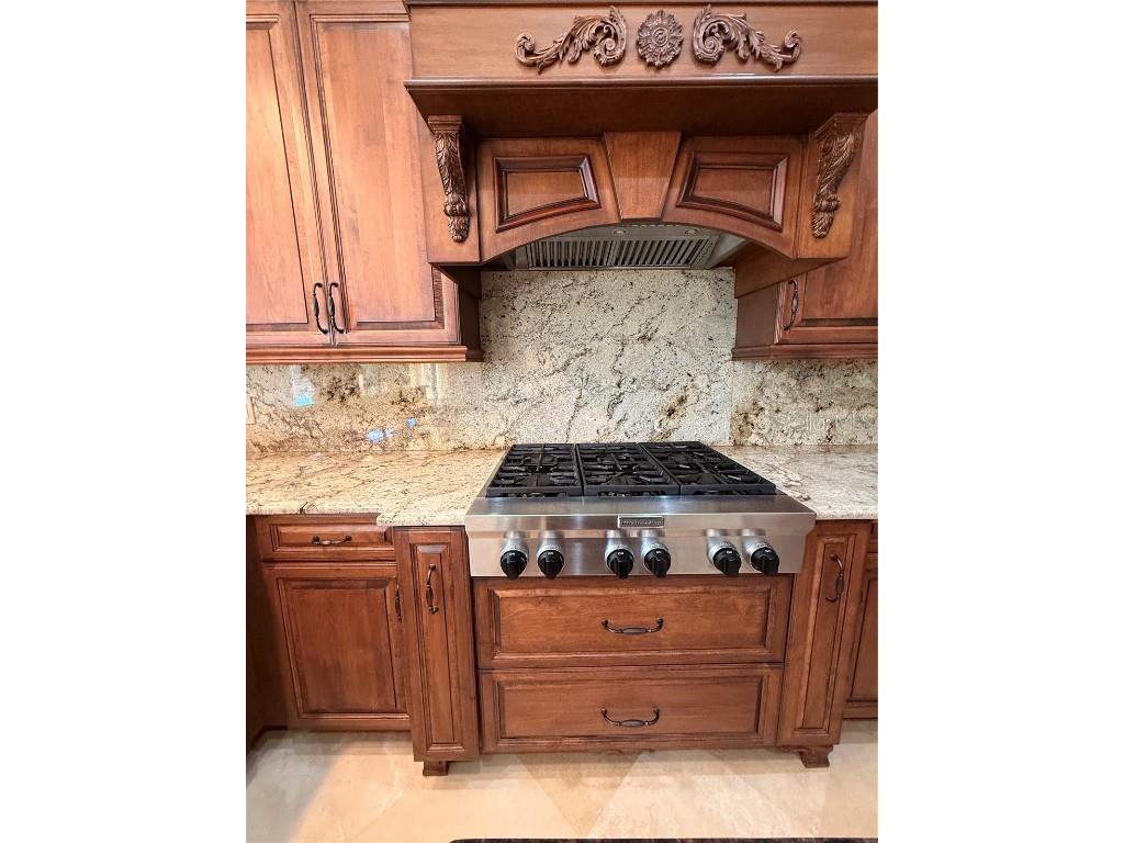 11318 Fenimore Court Court Windermere FL 34786 - LAKE BURDEN O6355539 image11