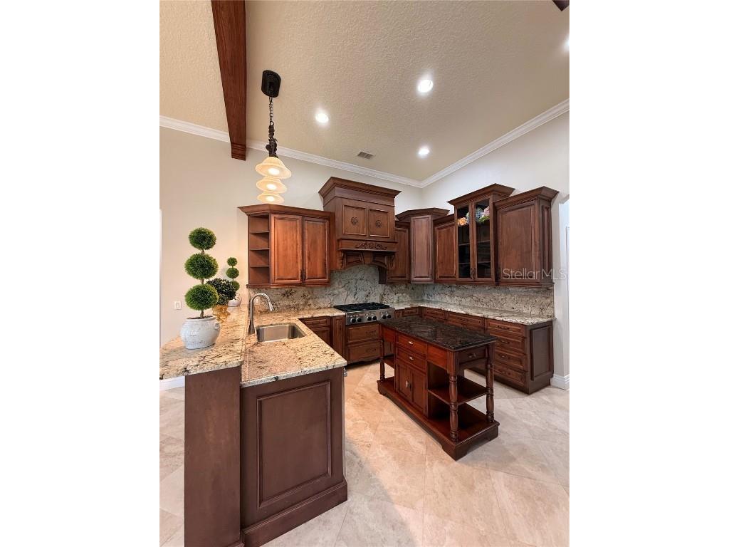 11318 Fenimore Court Court Windermere FL 34786 - LAKE BURDEN O6355539 image13