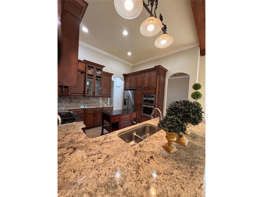 11318 Fenimore Court Court Windermere FL 34786 - LAKE BURDEN O6355539 image14