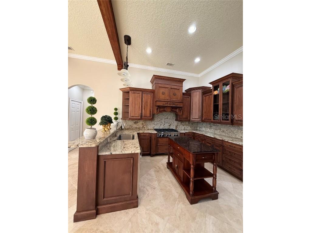 11318 Fenimore Court Court Windermere FL 34786 - LAKE BURDEN O6355539 image16