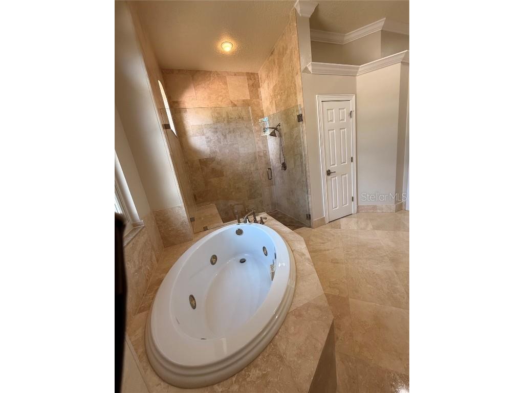 11318 Fenimore Court Court Windermere FL 34786 - LAKE BURDEN O6355539 image32