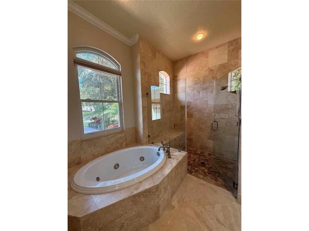 11318 Fenimore Court Court Windermere FL 34786 - LAKE BURDEN O6355539 image33