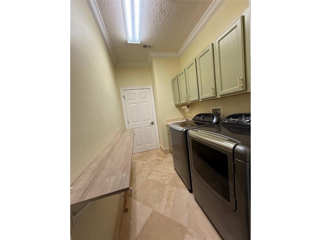 11318 Fenimore Court Court Windermere FL 34786 - LAKE BURDEN O6355539 image66