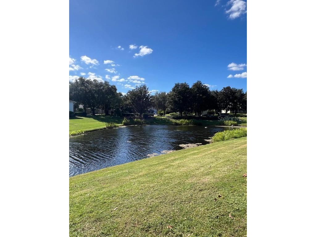 11318 Fenimore Court Court Windermere FL 34786 - LAKE BURDEN O6355539 image69