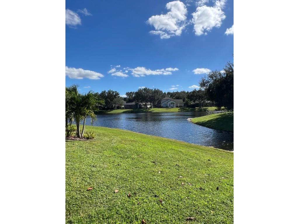 11318 Fenimore Court Court Windermere FL 34786 - LAKE BURDEN O6355539 image70