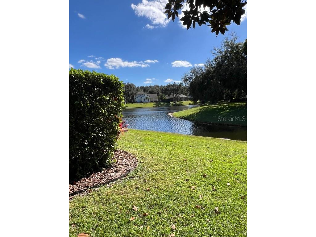 11318 Fenimore Court Court Windermere FL 34786 - LAKE BURDEN O6355539 image71