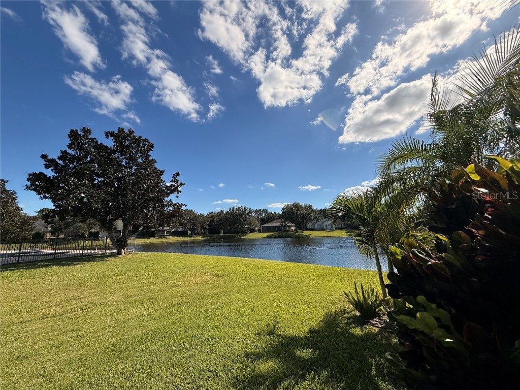 11318 Fenimore Court Court Windermere FL 34786 - LAKE BURDEN O6355539 image75