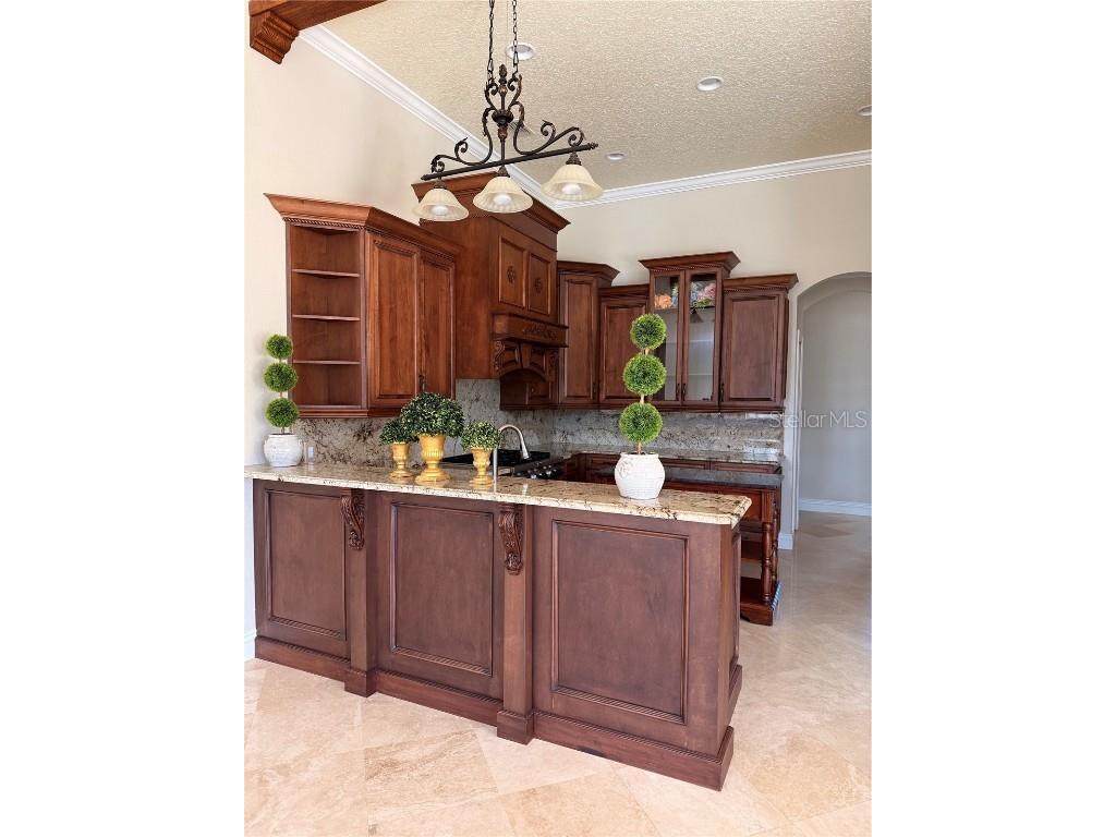 11318 Fenimore Court Court Windermere FL 34786 - LAKE BURDEN O6355539 image9