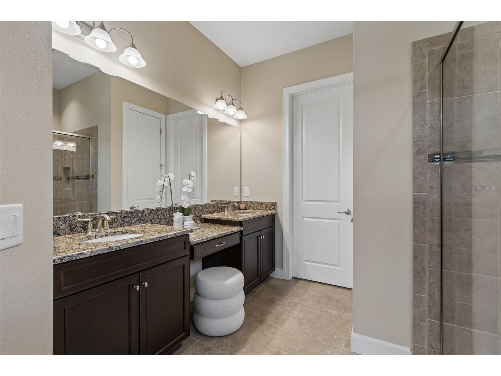 11318 Juglans Drive Odessa FL 33556 TB8485937 image24