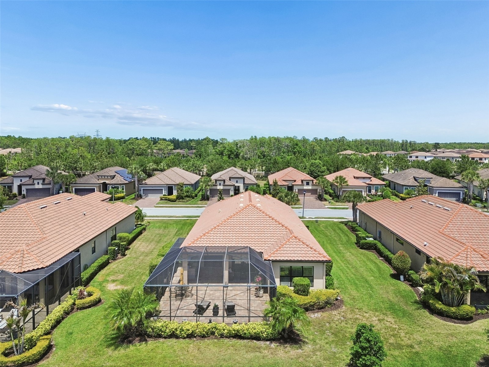 11318 Juglans Drive Odessa FL 33556 TB8485937 image37