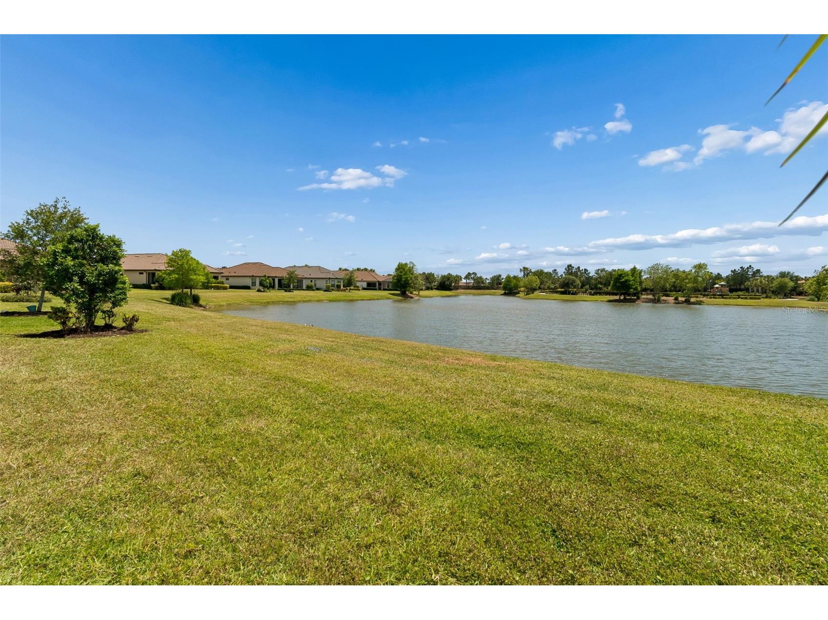 11318 Juglans Drive Odessa FL 33556 TB8485937 image38