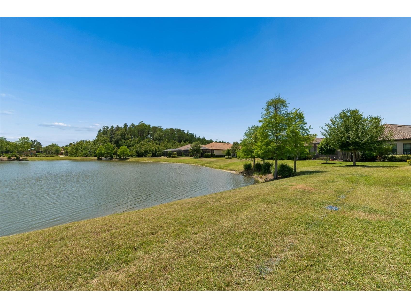 11318 Juglans Drive Odessa FL 33556 TB8485937 image39