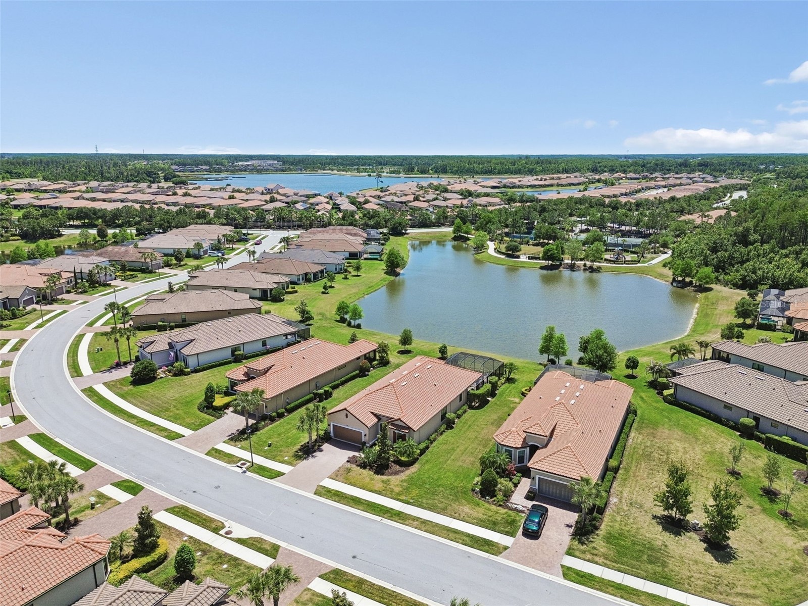11318 Juglans Drive Odessa FL 33556 TB8485937 image42