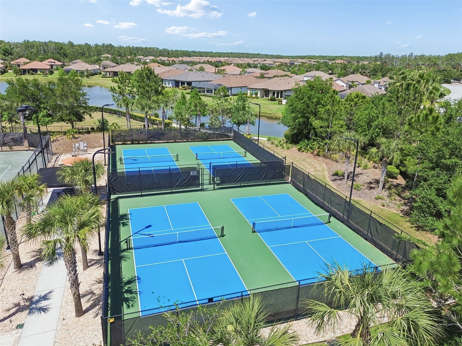 11318 Juglans Drive Odessa FL 33556 TB8485937 image45