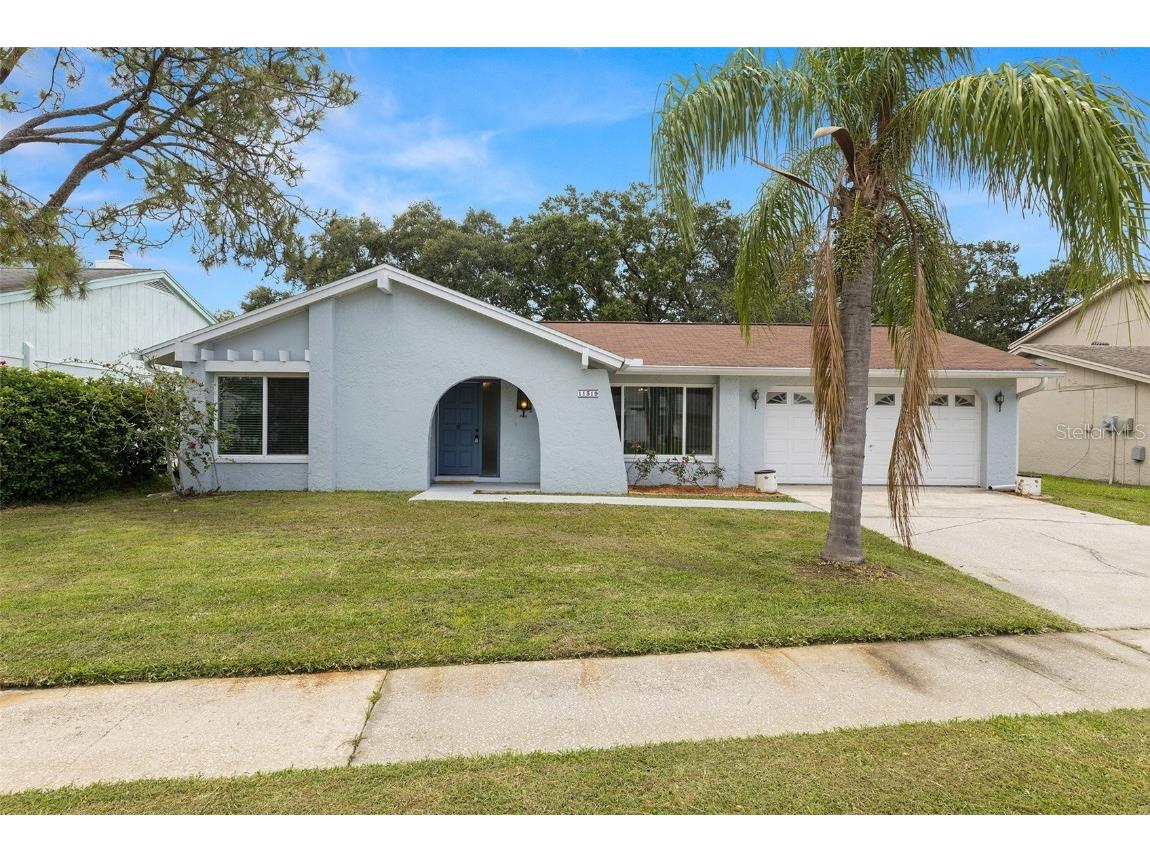 11319 Hollyglen Drive Tampa FL 33624 T3459218 image1