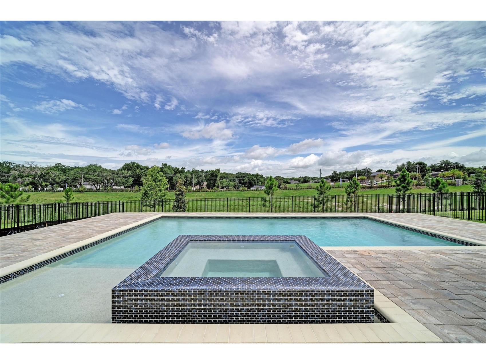 1132 Buck Creek Court Brandon FL 33511 TB8470318 image60