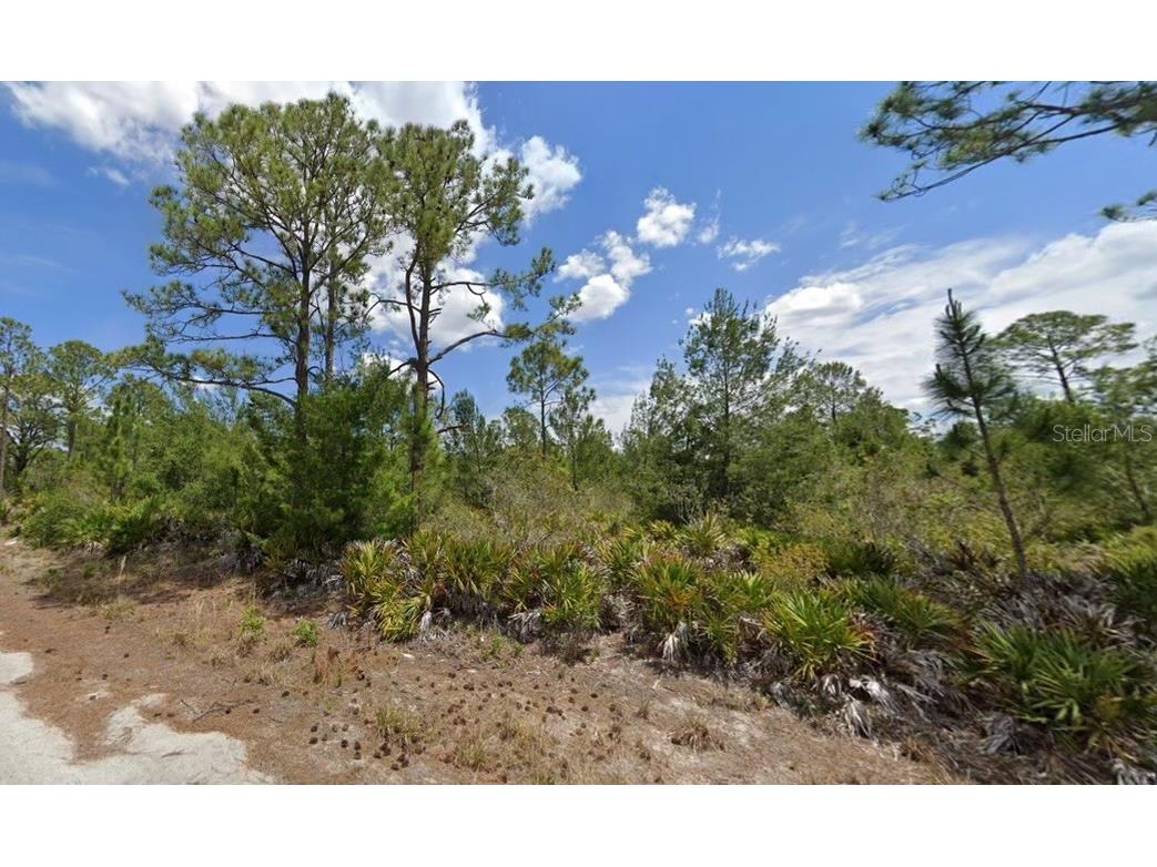 1132 Camelback Street Lake Placid FL 33852 U8234906 image1