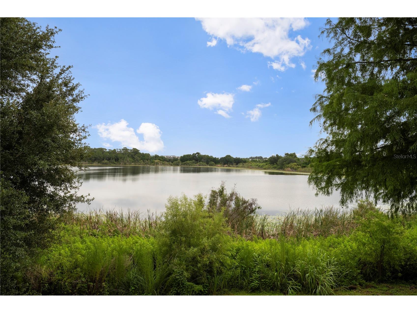 1132 Charming Street Maitland FL 32751 O6424632 image2