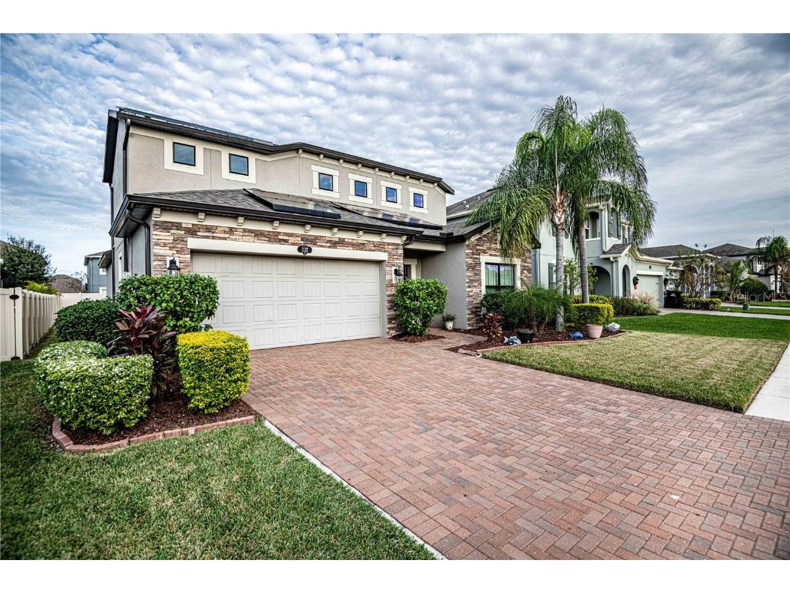 1132 Lorapetalum Lane Lutz FL 33558 T3489430 image1