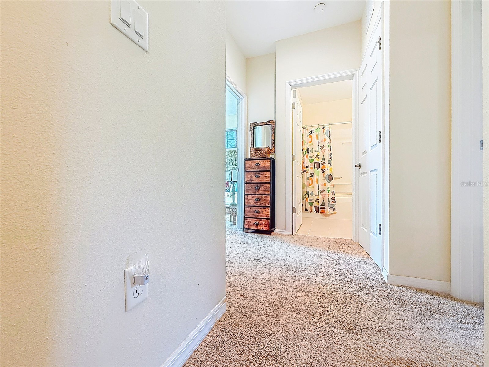 1132 Martin Luther King Jr Ave Dunedin FL 34698 TB8492953 image14