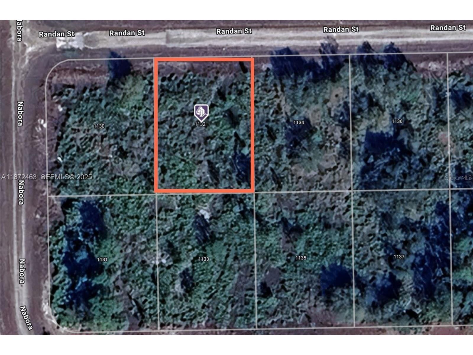 1132 Randan Street E Lehigh Acres FL 33974 O6375520 image1