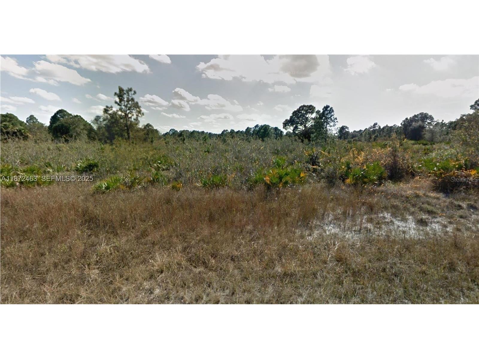 1132 Randan Street E Lehigh Acres FL 33974 O6375520 image4