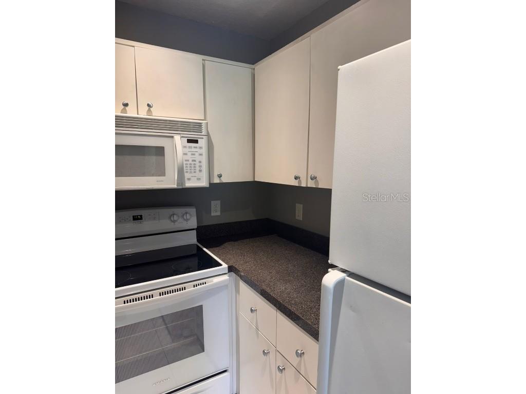 1132 S Pine Ridge Circle #32 Sanford FL 32773 O6329562 image7