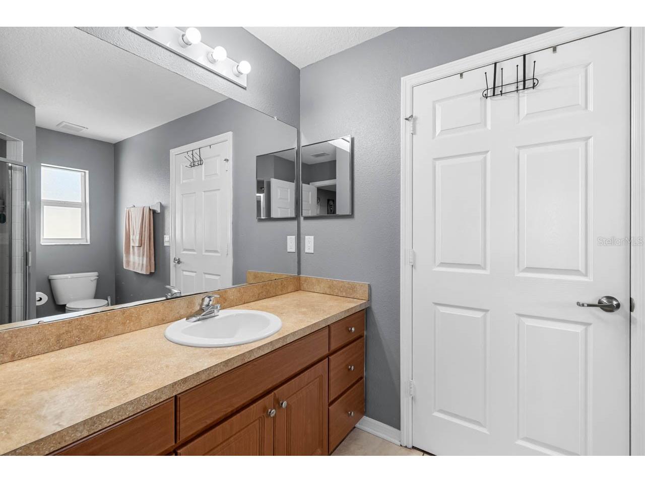 1132 Shared Passion Street Ruskin FL 33570 TB8442542 image16