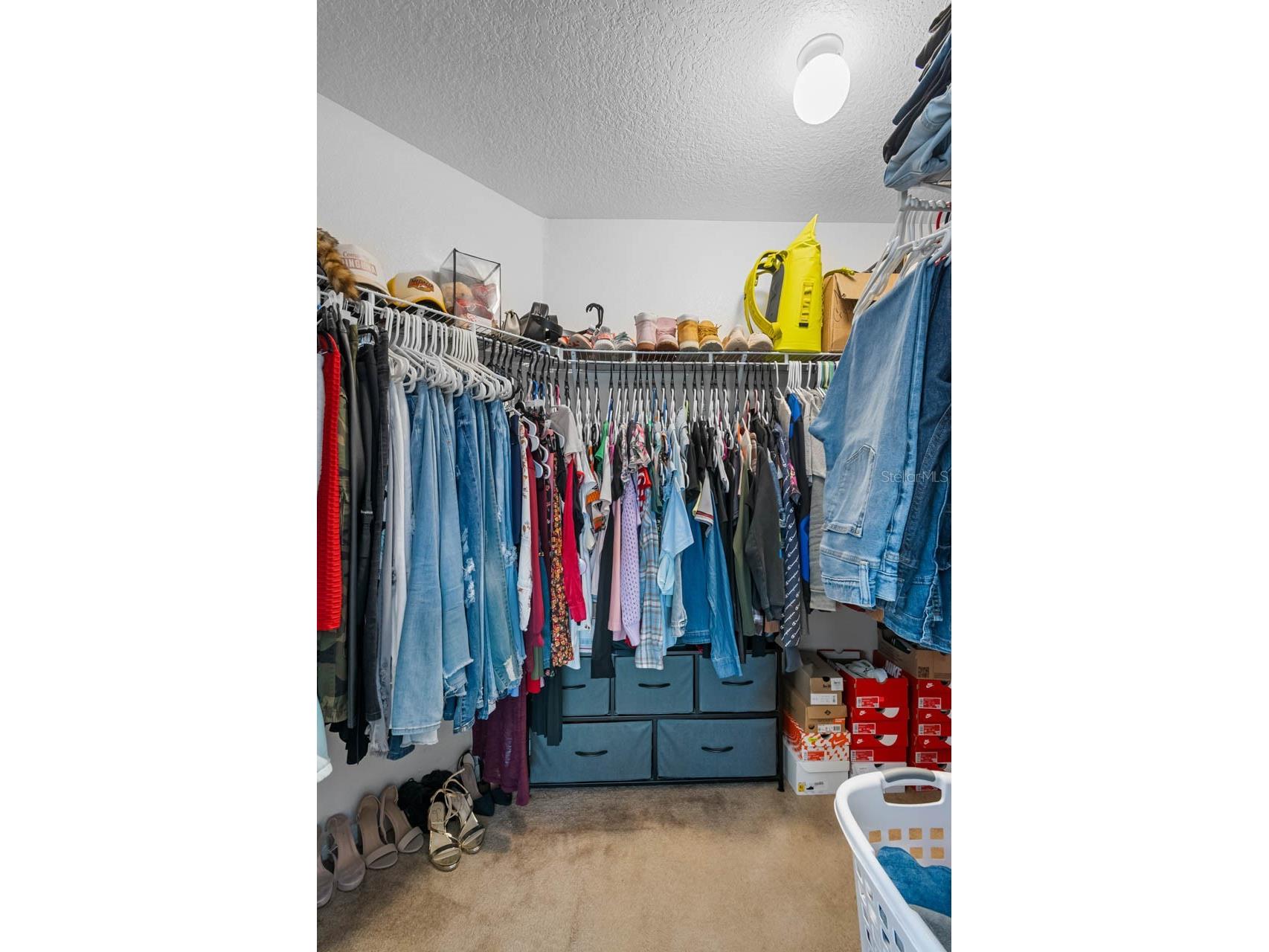 1132 Shared Passion Street Ruskin FL 33570 TB8442542 image18