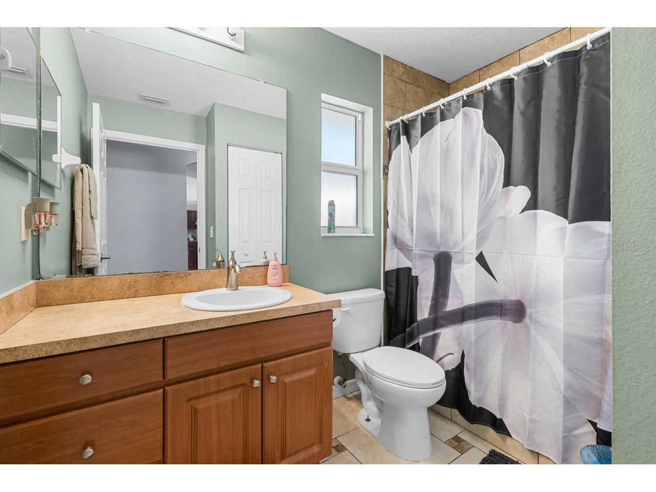 1132 Shared Passion Street Ruskin FL 33570 TB8442542 image21