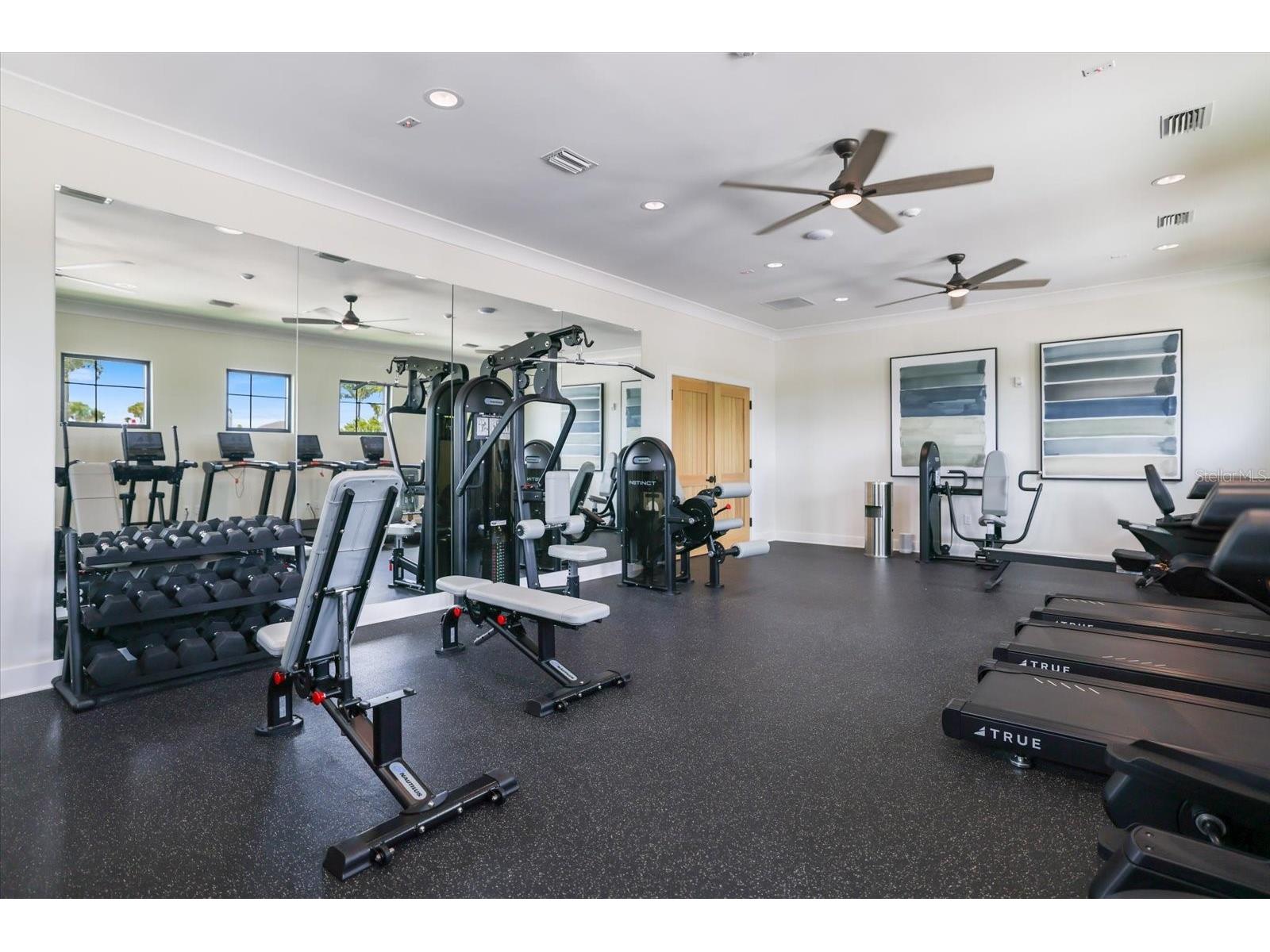 11320 65th Terrace E Palmetto FL 34221 A4697218 image56