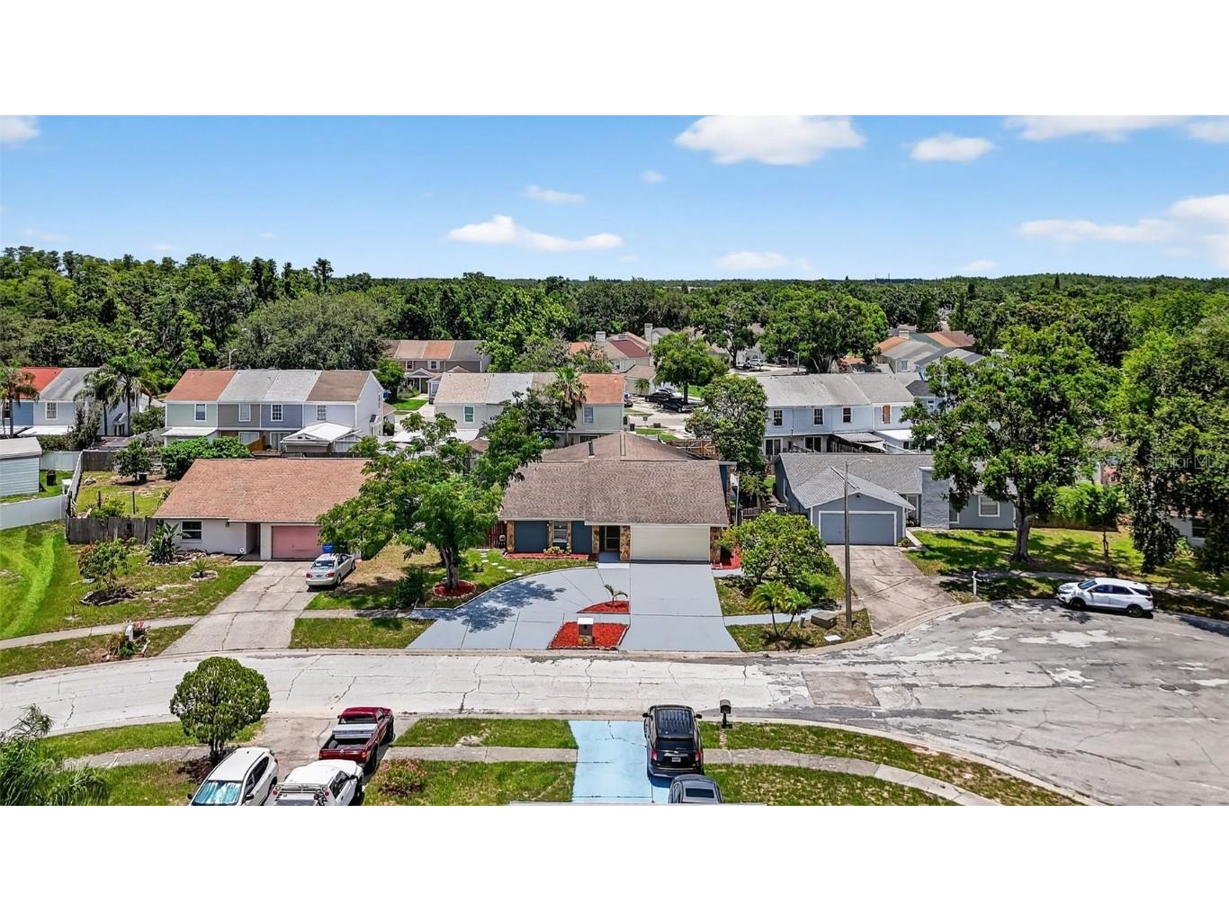 11320 Partridge Drive Tampa FL 33625 TB8425059 image48