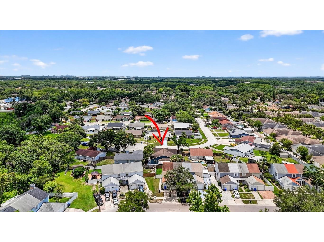 11320 Partridge Drive Tampa FL 33625 TB8425059 image49