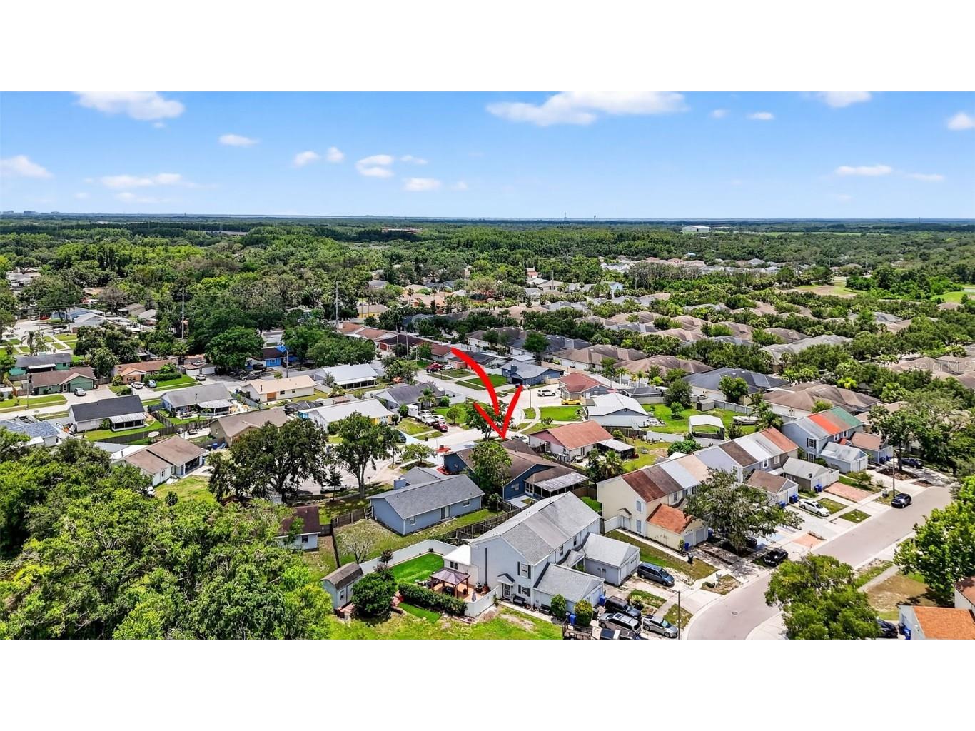 11320 Partridge Drive Tampa FL 33625 TB8425059 image50