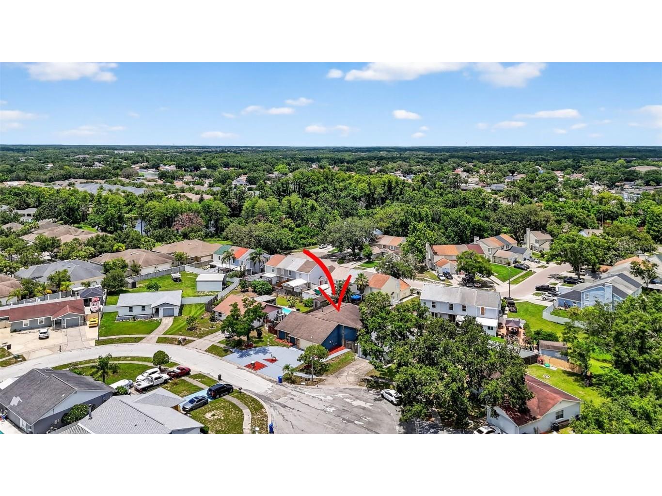 11320 Partridge Drive Tampa FL 33625 TB8425059 image51