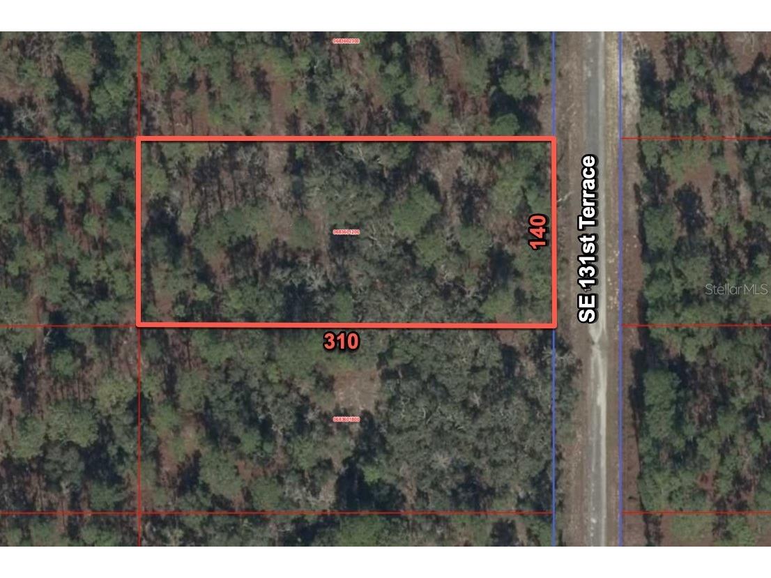 11320 Se 131st Ter Dunnellon FL 34431 O6395296 image1