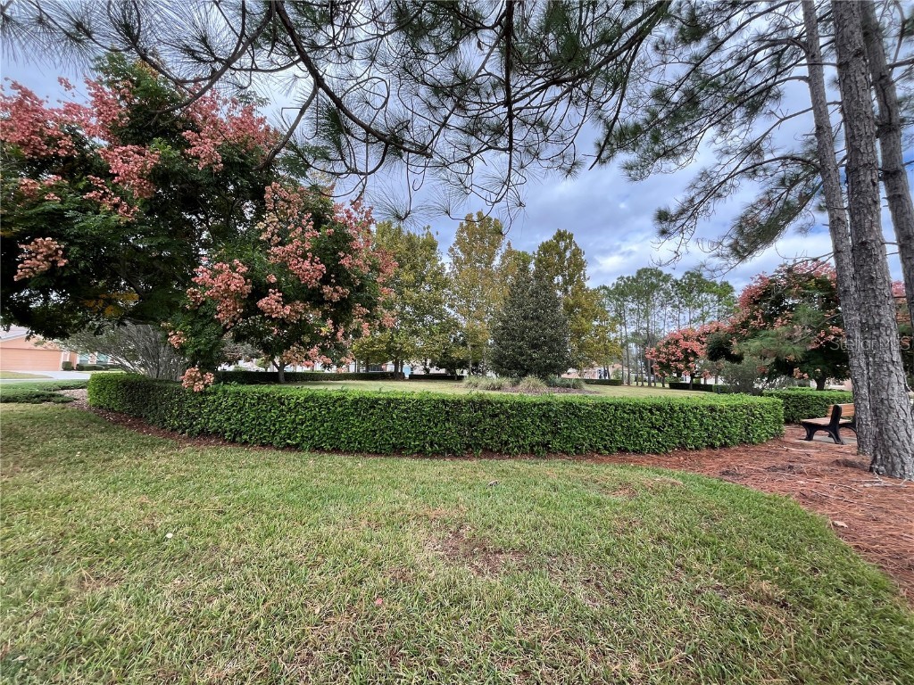 11321 Copley Court Spring Hill FL 34609 TB8442388 image59