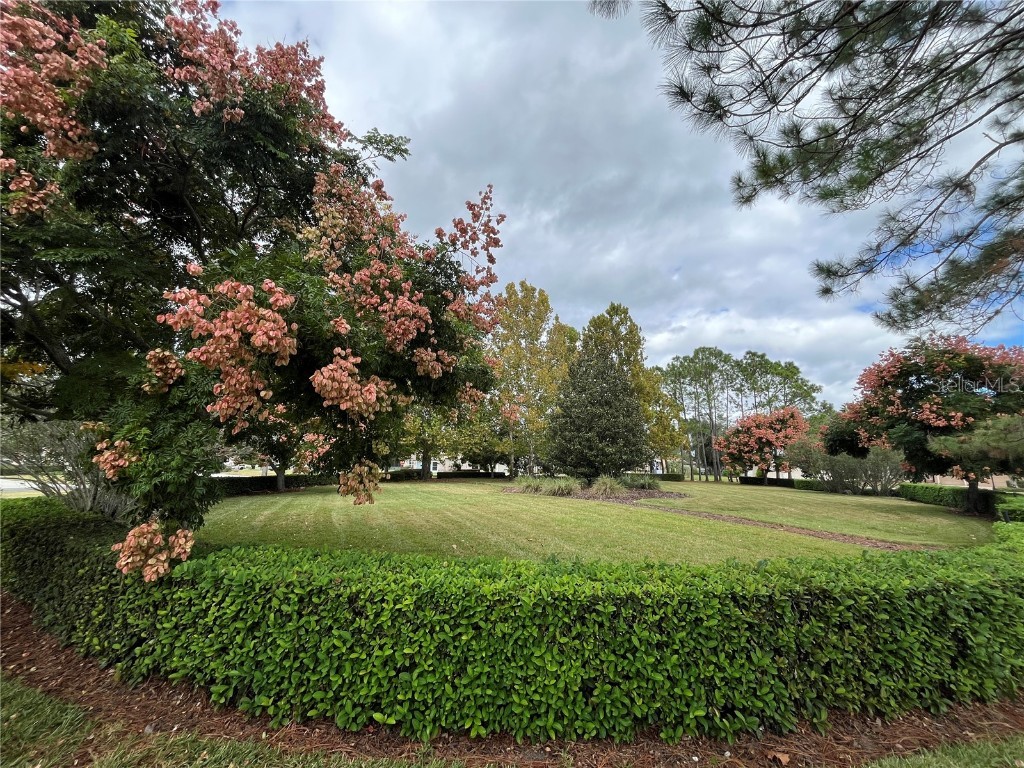 11321 Copley Court Spring Hill FL 34609 TB8442388 image60