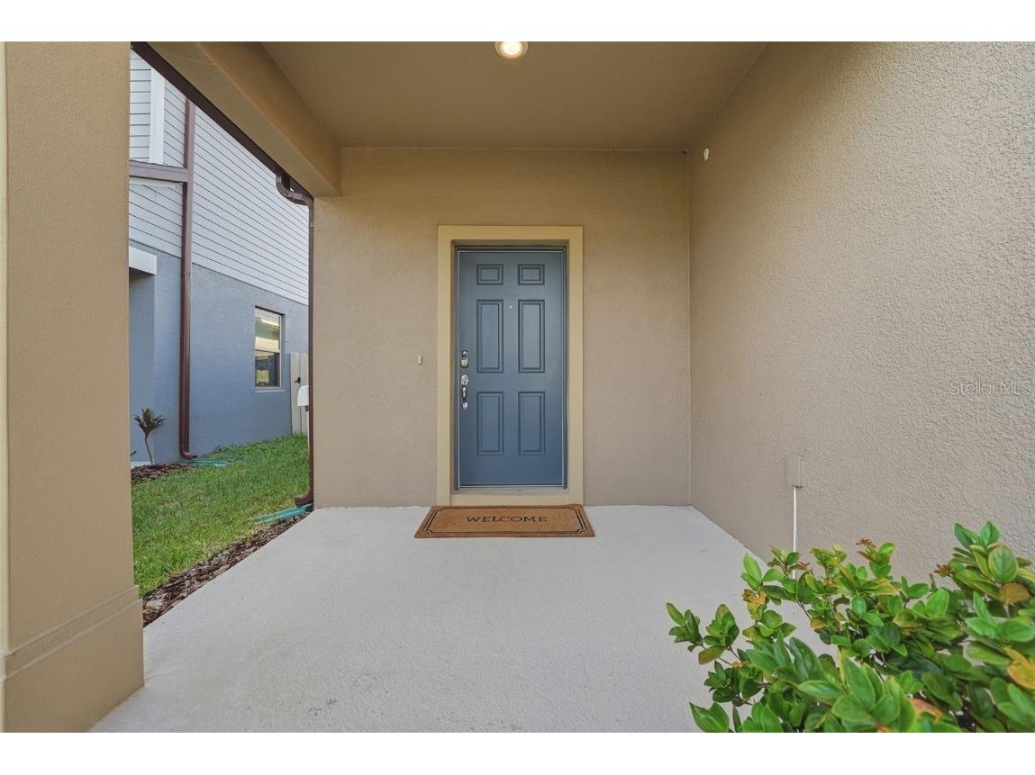 11321 Green Harvest Drive Riverview FL 33578 TB8451256 image9