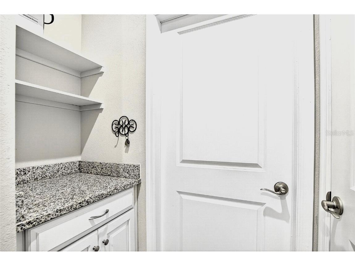 11321 Lake Lucaya Drive Riverview FL 33579 - LUCAYA LAKE TB8432731 image36