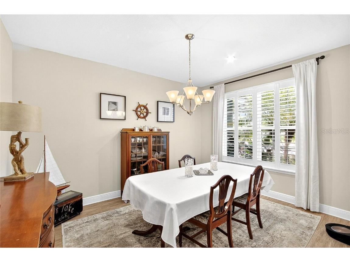 11321 Lake Lucaya Drive Riverview FL 33579 - LUCAYA LAKE TB8432731 image6